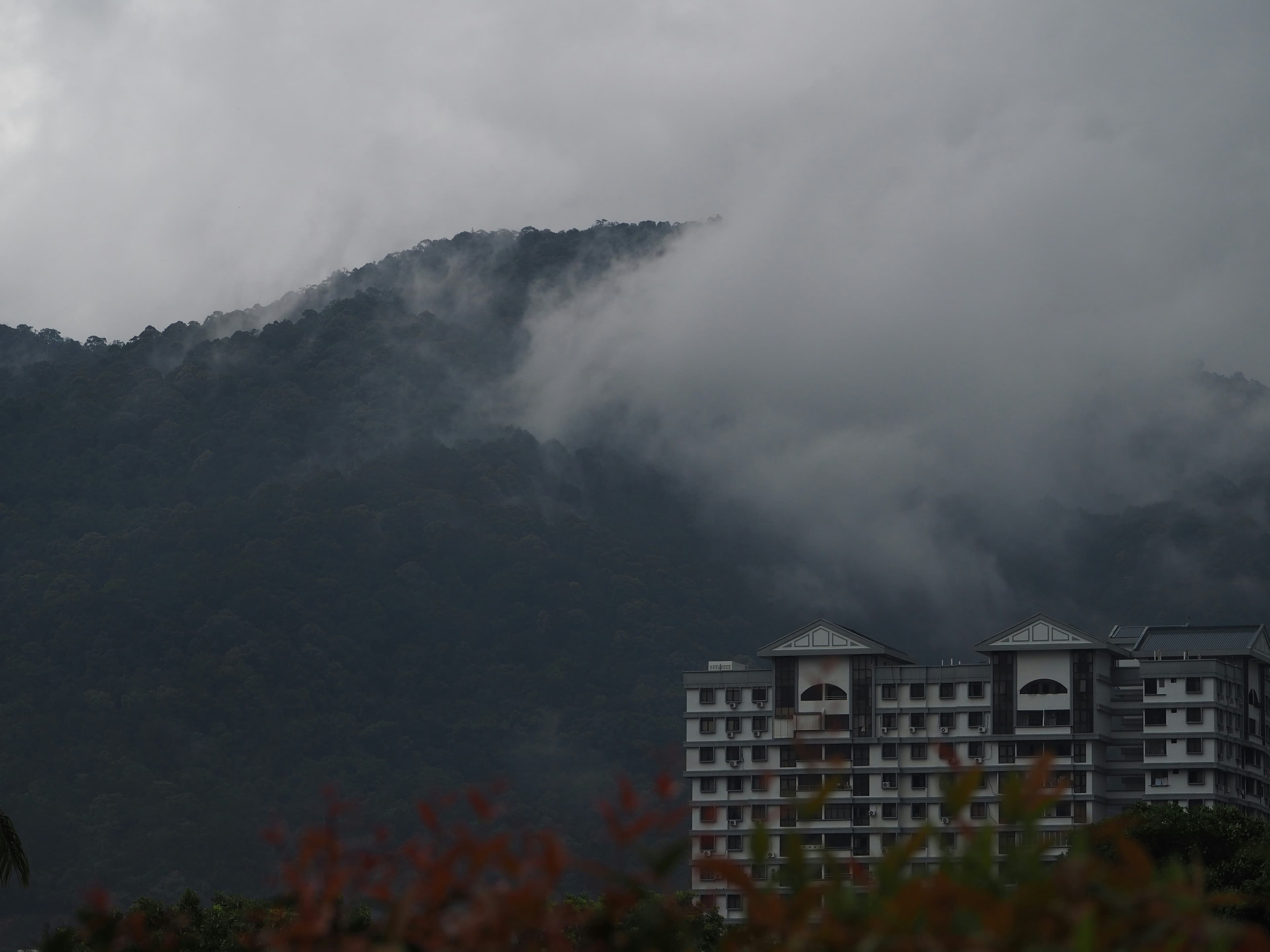 Kalimpong