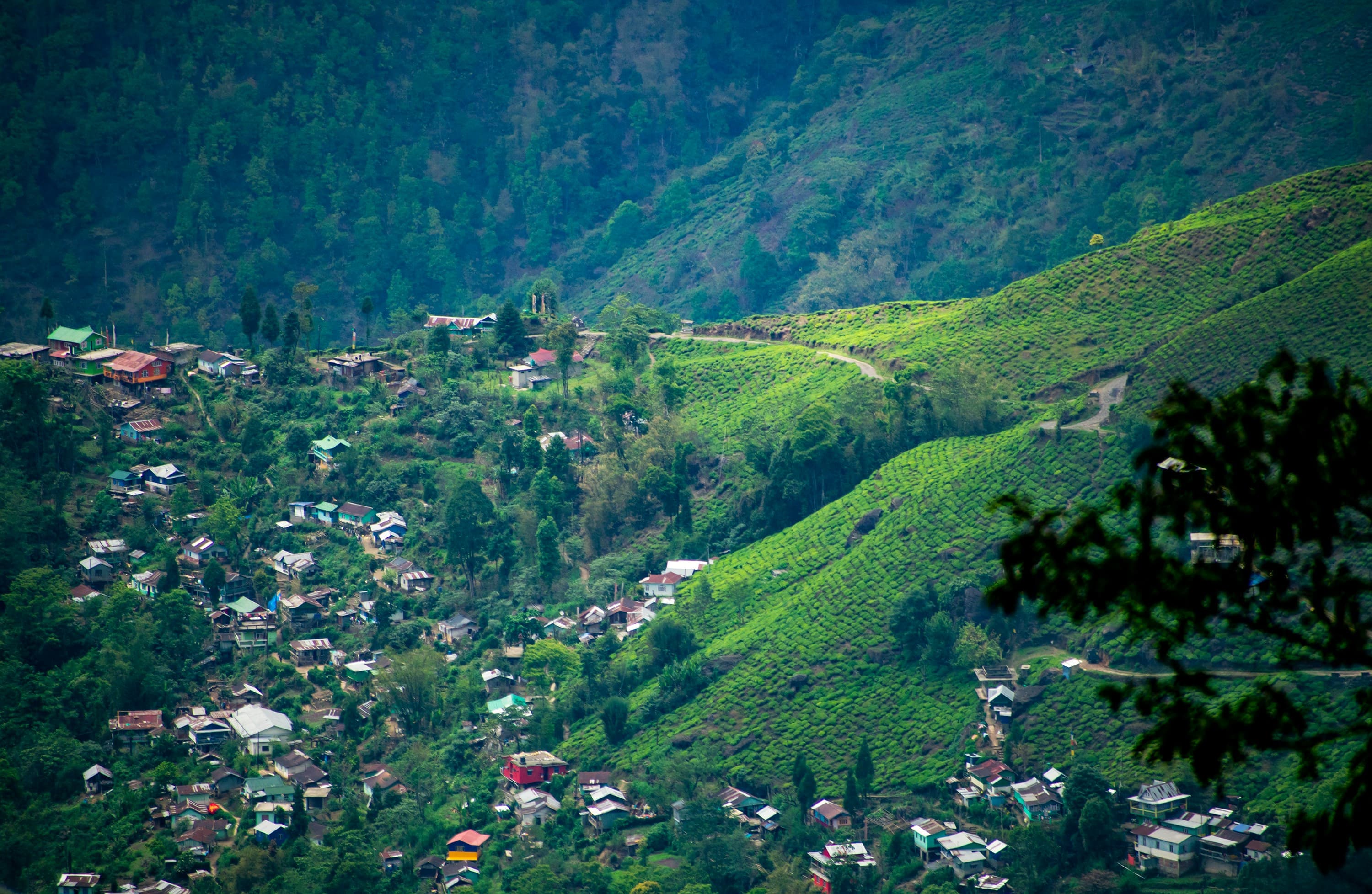 Kurseong